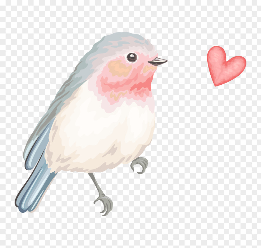 Birdies Watercolor Bird Sparrow Image Download Graphics PNG