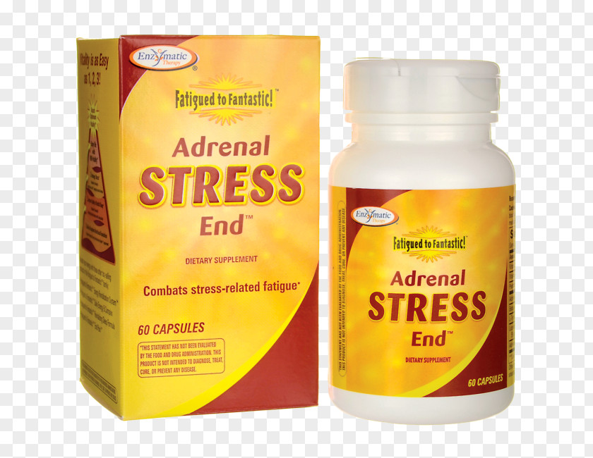 Fatigue In The Morning Dietary Supplement Adrenal Capsule Stress Feeling Tired PNG