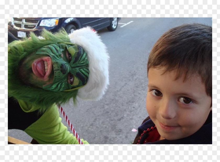 Grinch How The Stole Christmas Olde Towne Carriages YouTube You're A Mean One, Mr. PNG