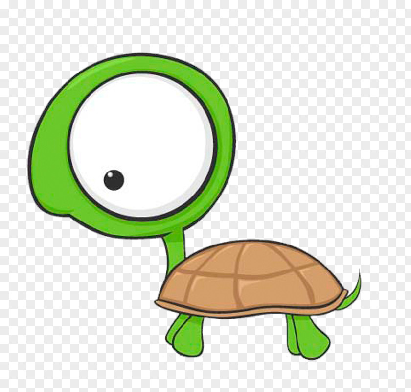 Painted Turtle Cartoon Drawing Clip Art PNG