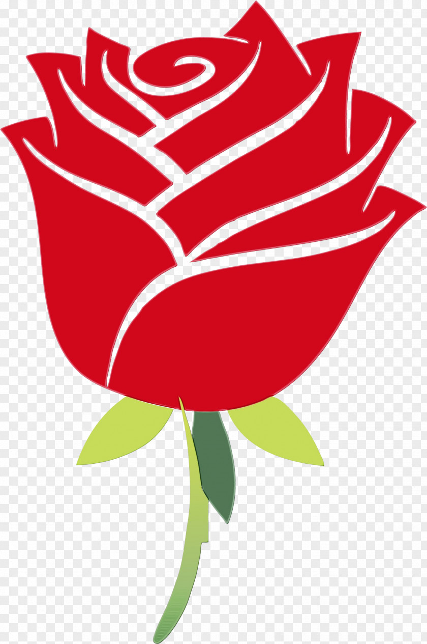 Rose Order Plant Garden Roses PNG