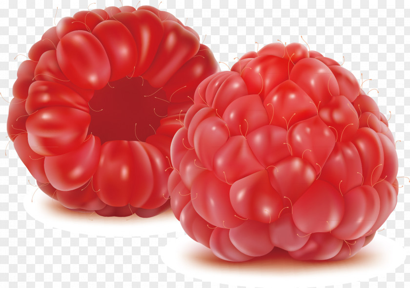 Strawberry Decoration Design Berry Fruit Drawing Illustration PNG