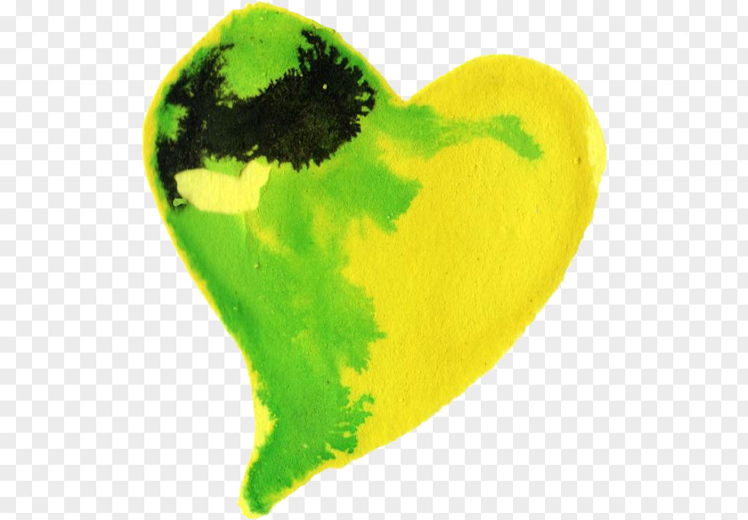 Watercolor Heart Painting Yellow Green PNG