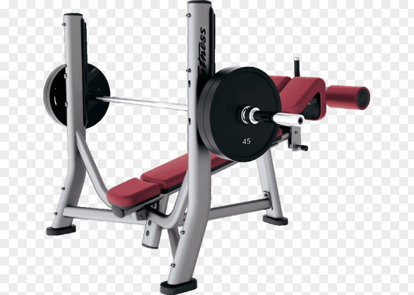 Dumbbell Bench Weight Training Exercise Equipment Physical Fitness Centre PNG
