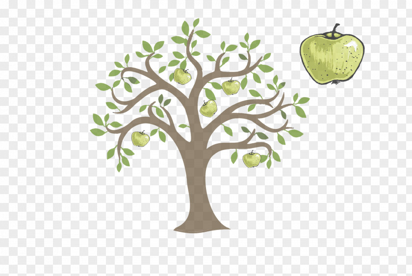 Fruit Leaf Tree Branch Plant Apple Woody PNG