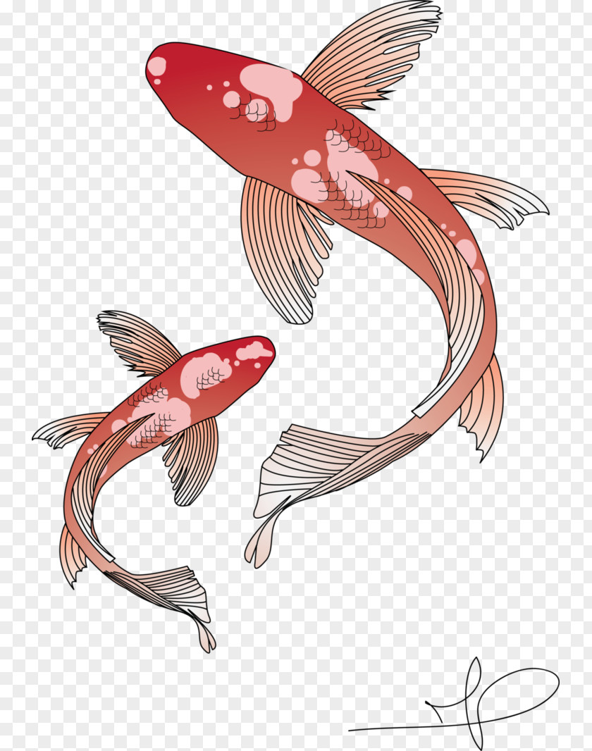 Koi Goldfish Carp PNG