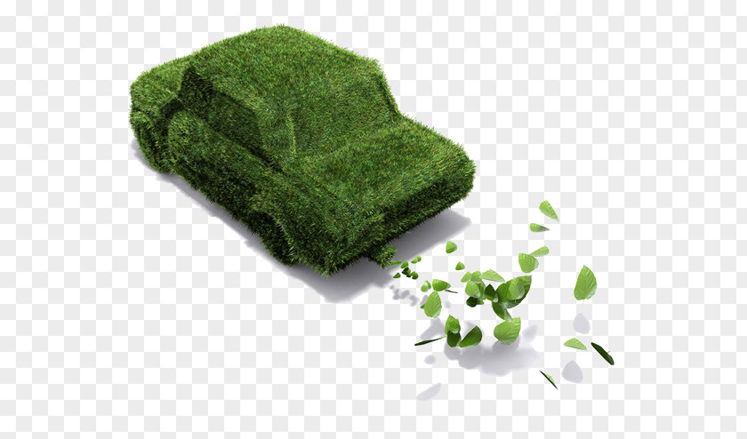 Leaf Car Environmental Protection Ekologickxe1 Plaketa Low-emission Zone PNG