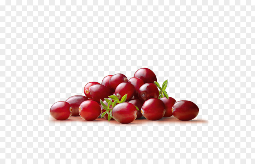 Tropical Fruit Cranberry Juice Dried Bilberry PNG