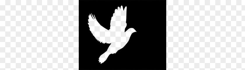 Black Dove Cliparts Columbidae Doves As Symbols Clip Art PNG