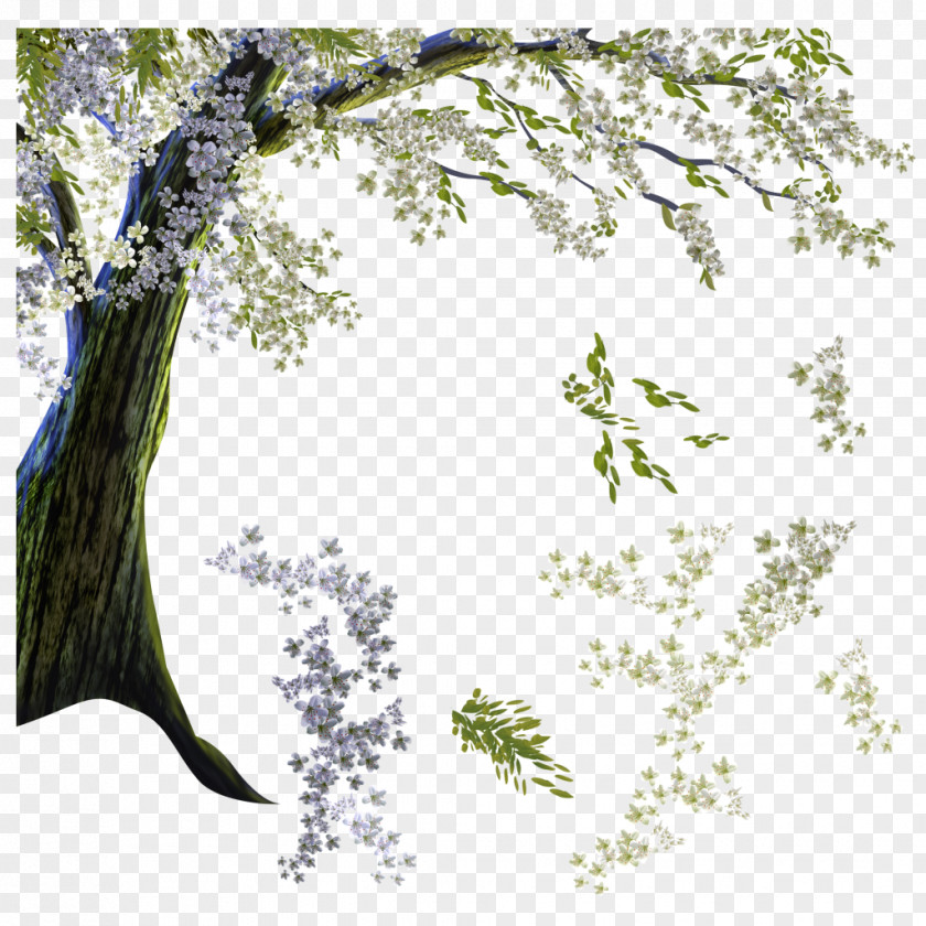Tree Cherry Blossom Branch Flower Clip Art PNG