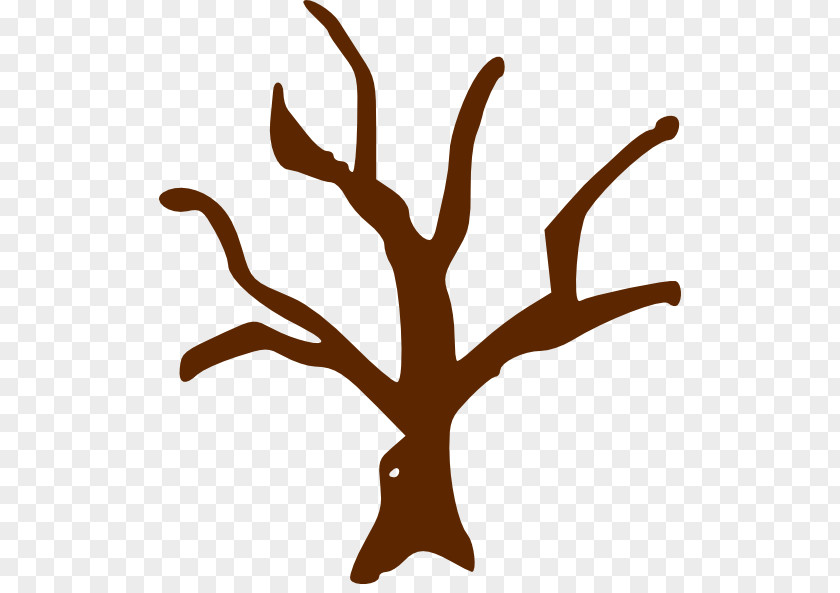 Cliparts Stick Tree Branch Trunk Clip Art PNG