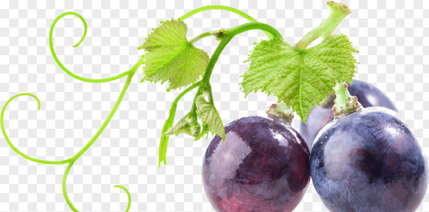 Grape Common Vine Food Stock Photography PNG