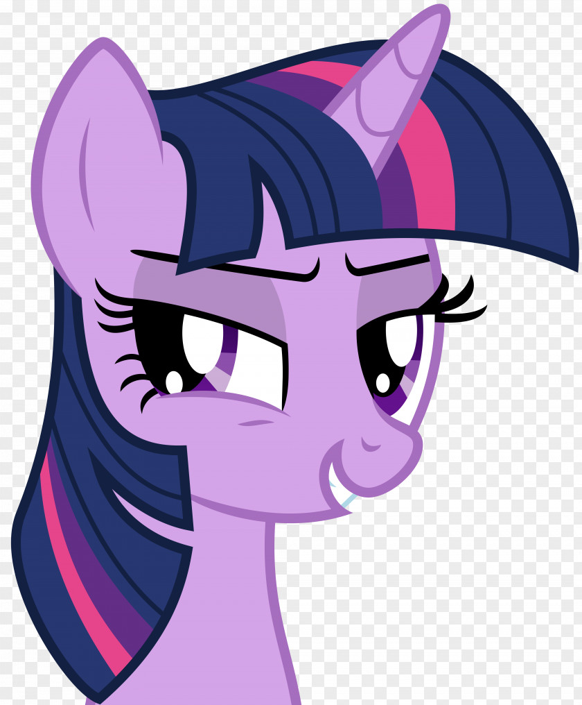 My Little Pony Twilight Sparkle Pinkie Pie Rainbow Dash Princess Celestia PNG