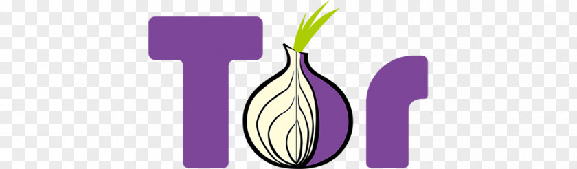 Tor Browser Web I2P .onion PNG browser .onion, onion clipart PNG
