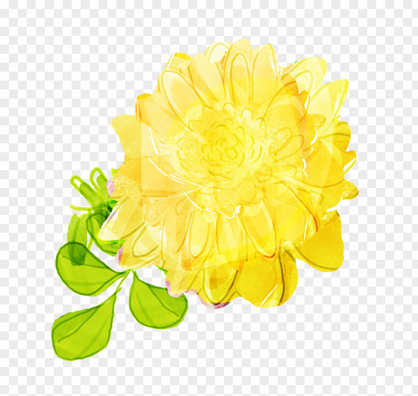 Chrysanthemum Flower Plant PNG