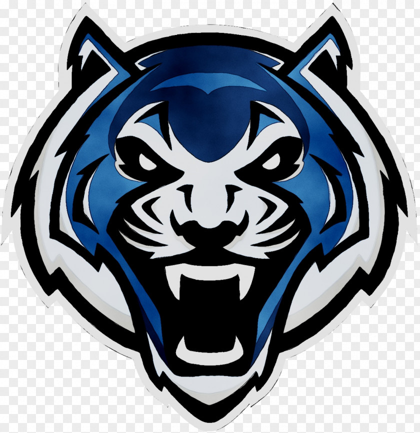 Lincoln University Blue Tigers Women's Basketball Football Men's PNG