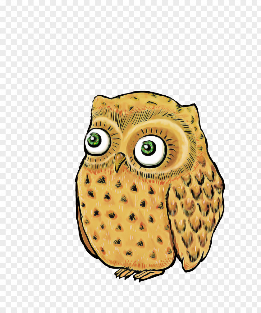 Owls Beak Cartoon Fruit PNG