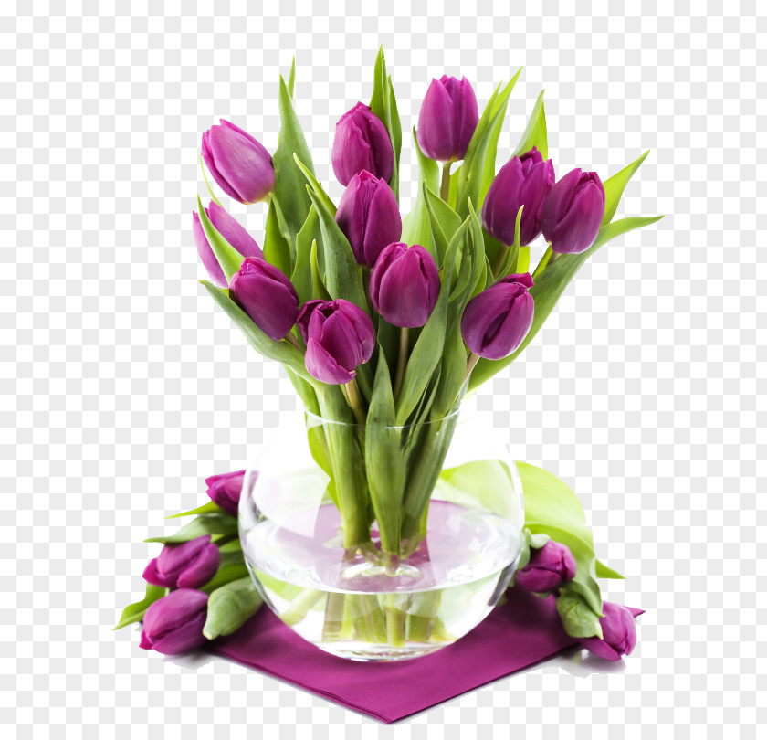 Tulip Flower Bouquet Rose PNG