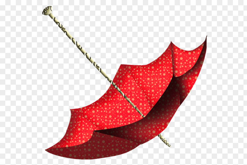 Umbrella Ombrelle Auringonvarjo Blog Rain PNG