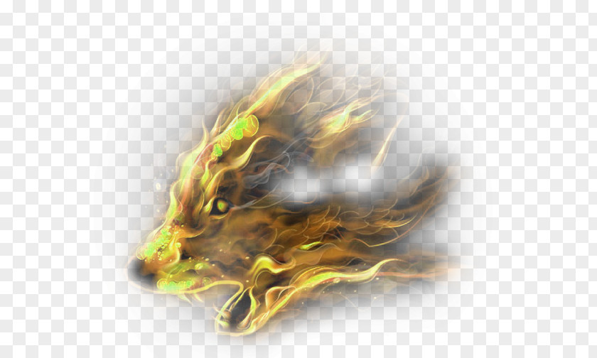Yellow Atmosphere Flame Animal Effect Element Gray Wolf Download PNG