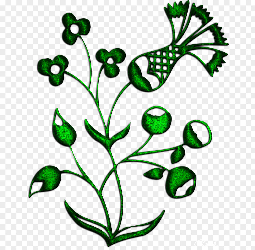 Bird Flower Plant Stem Clip Art PNG