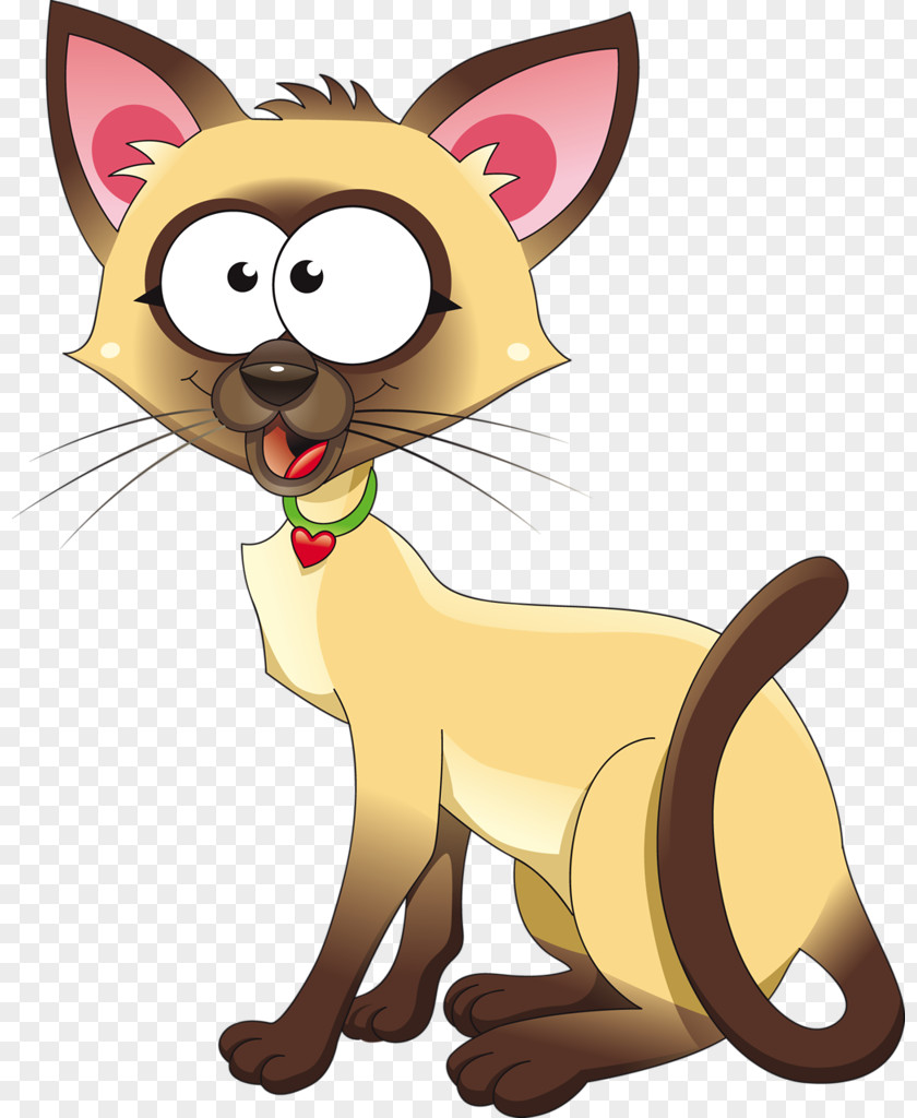 Cats Cat Kitten Cartoon Clip Art PNG