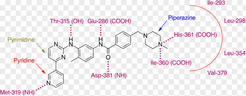 Imatinib Bcr-Abl Tyrosine-kinase Inhibitor PNG
