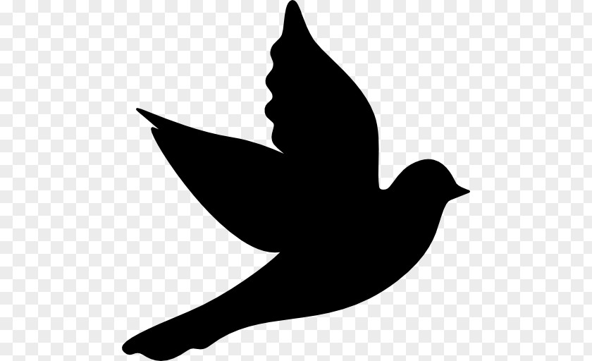 Symbol Columbidae Doves As Symbols Clip Art PNG