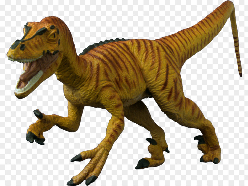 Dinosaurs Dinosaur Jurassic Park PNG