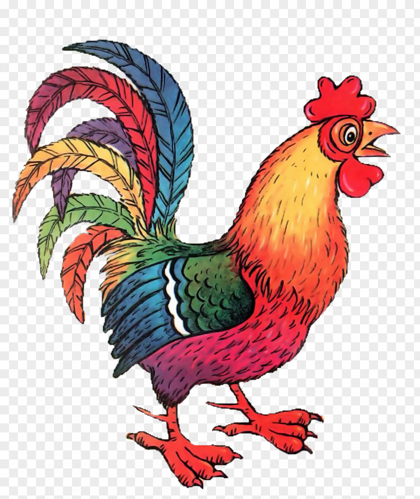 Gerald Durrell Chicken Drawing Rooster Clip Art PNG