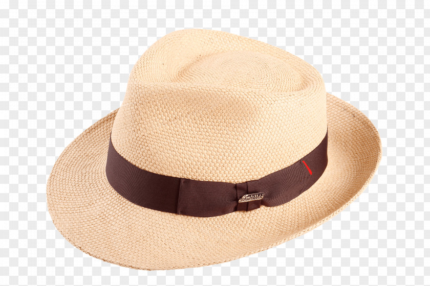 Hat Fedora Wool Carludovica Palmata PNG