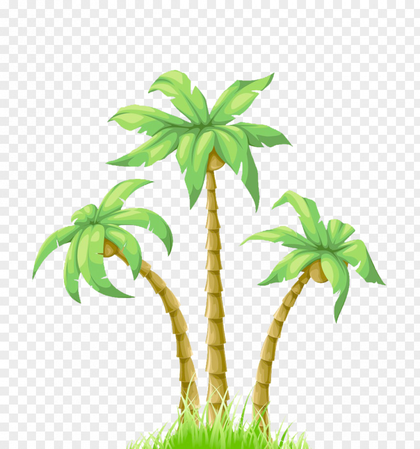 Summer Illustration Palm Tree Cartoon Poster Coconut PNG