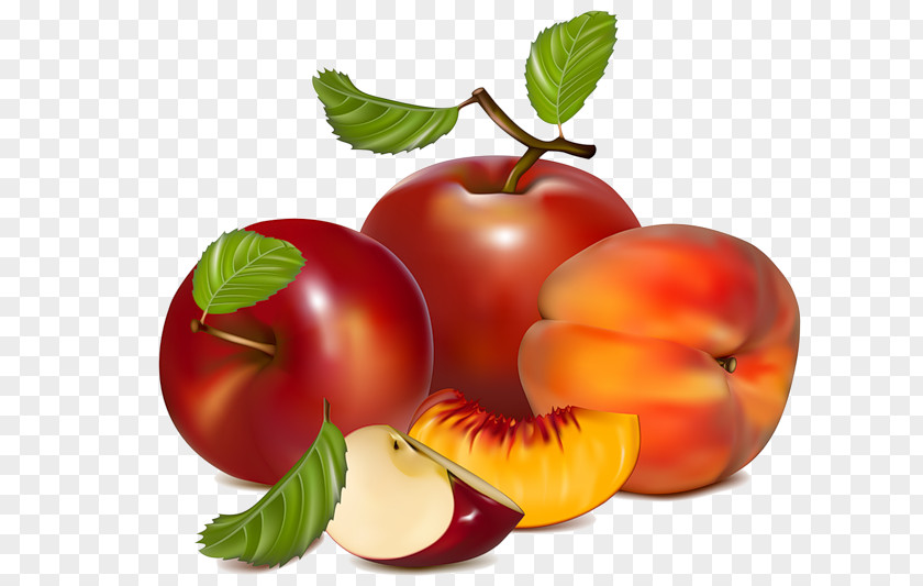 Apple Fruit Clip Art PNG