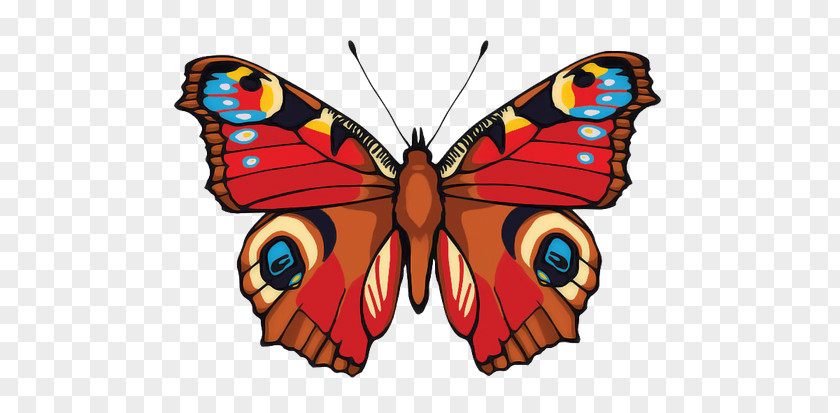 Butterfly Inachis Io PNG