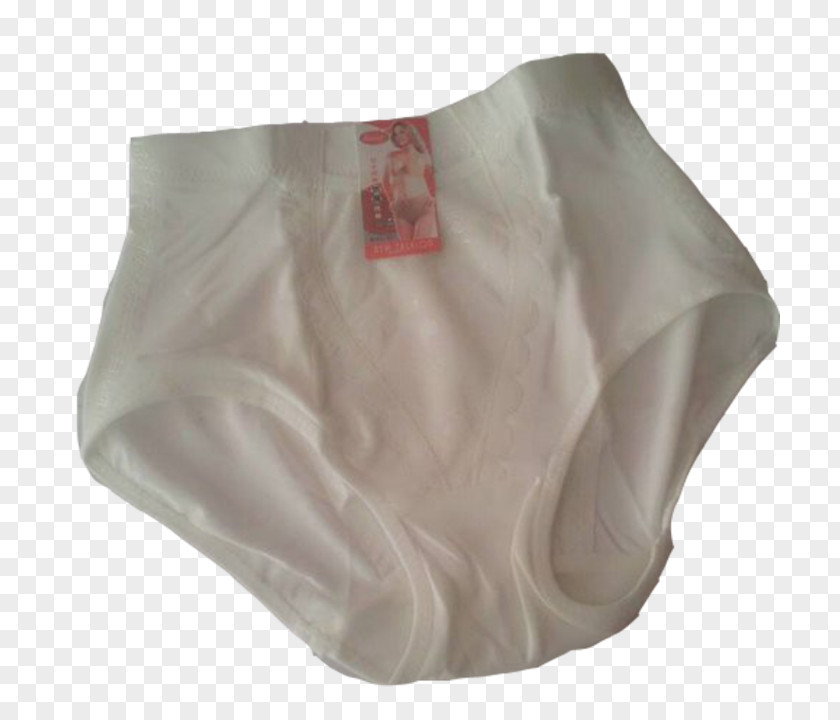 Fpt Shop Briefs Silk PNG