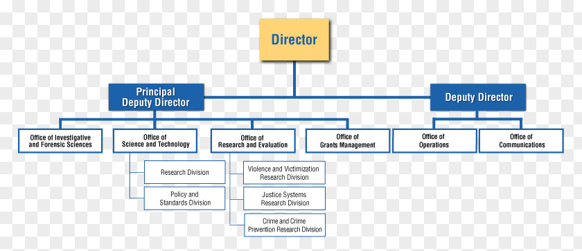 Organizational Chart Diagram National Institute Of Justice PNG