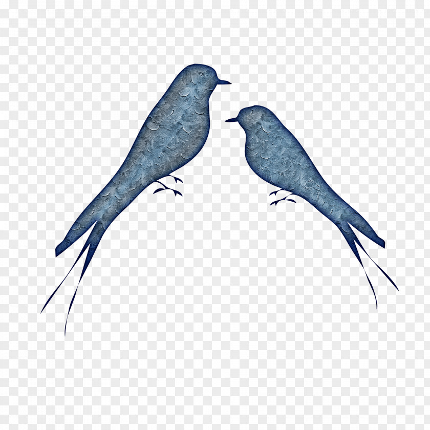 Bluebird Lovebird God Eater Resurrection Drawing American Sparrows PNG
