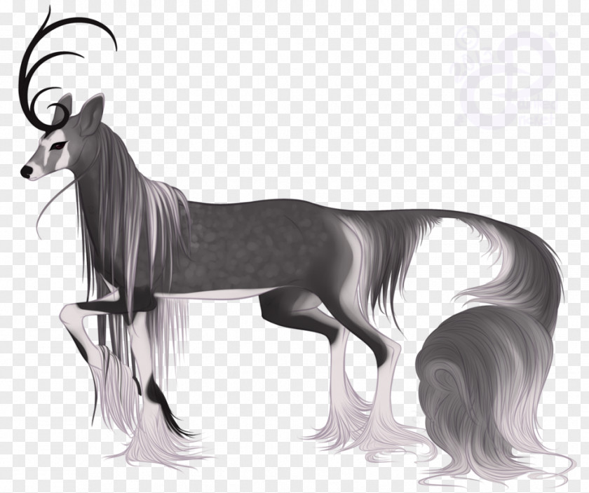 Dog Breed Horse Drawing /m/02csf PNG