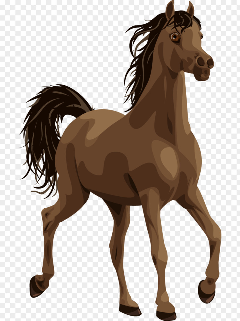 Horse Arabian Pony Colt Clip Art PNG