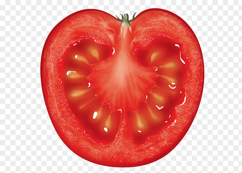 Cut Tomatoes Tomato Auglis Fruit Vegetable Berry PNG
