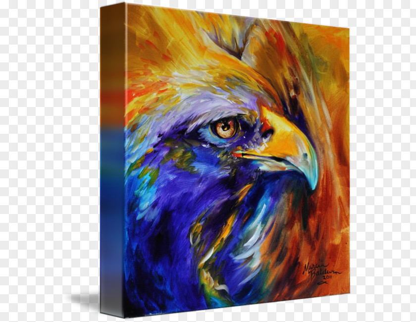 Eagle Bald Painting Abstract Art PNG