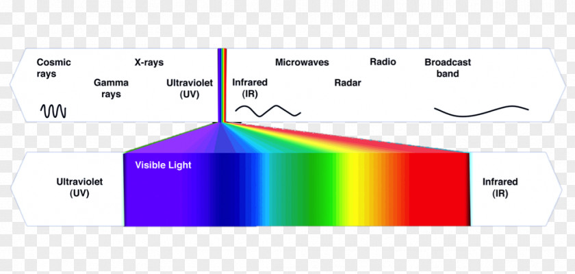 Electromagnetic Spectrum Radiation Color Factor De Protección Solar PNG