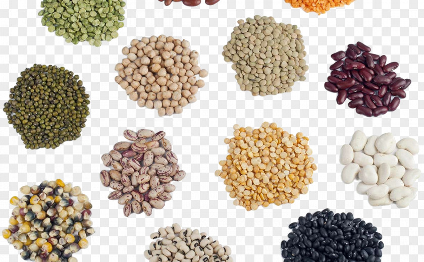 Seeds Seed Saving Agriculture Library Hybrid PNG