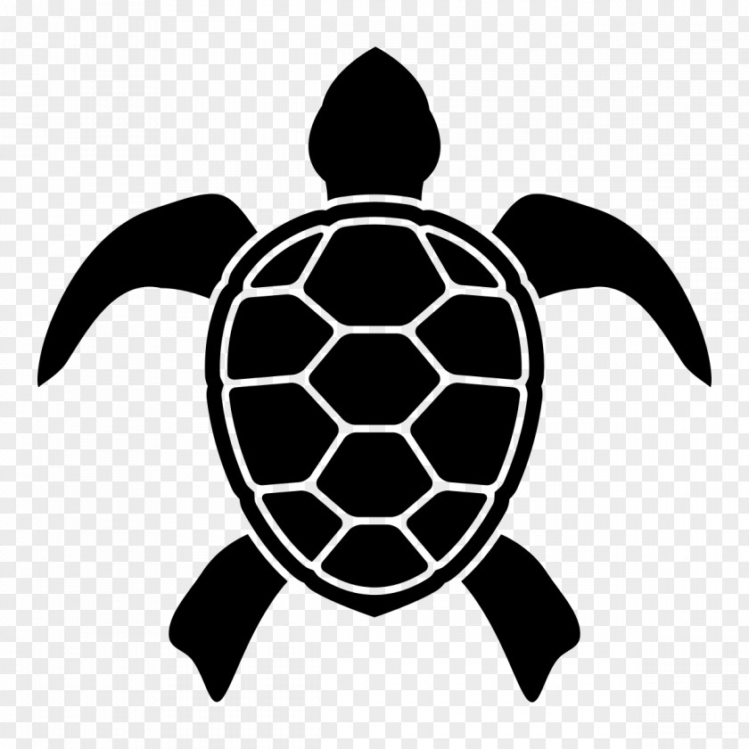 Turtle Shell Raphael Teenage Mutant Ninja Turtles Logo PNG