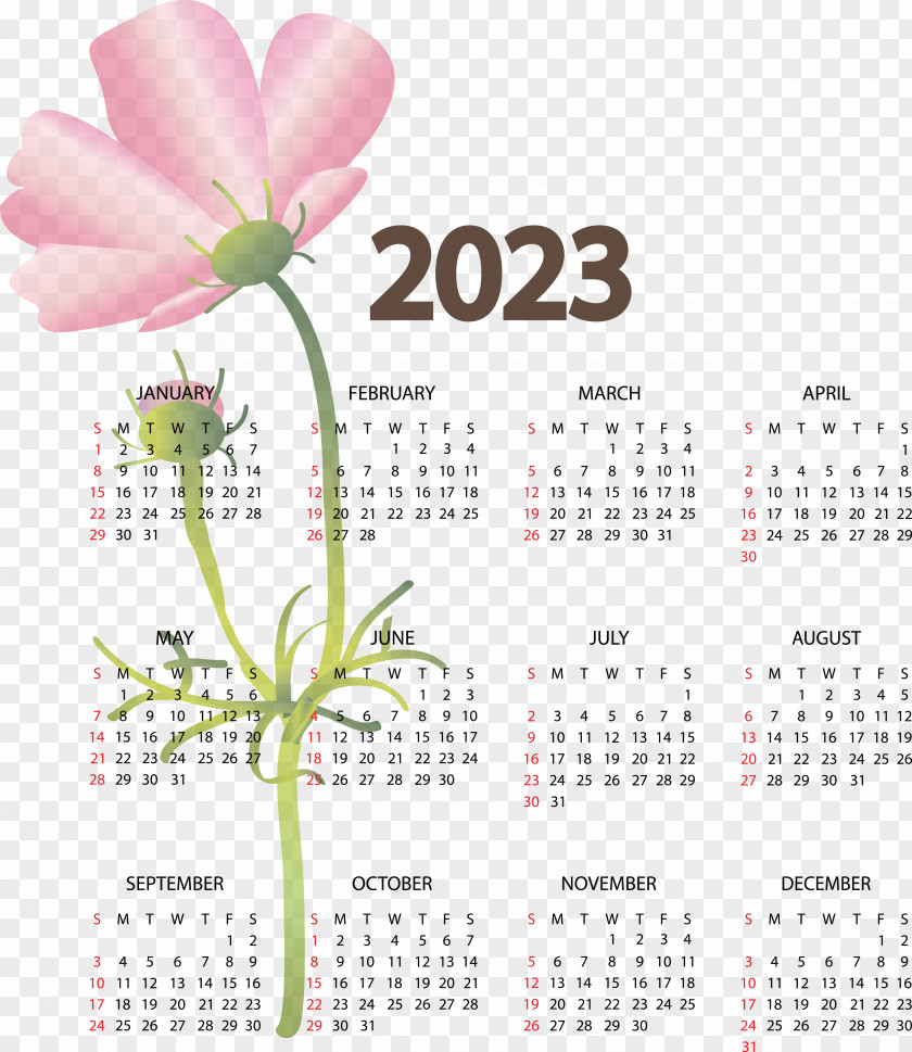 2023 Calendar 2022 2021 2020 PNG
