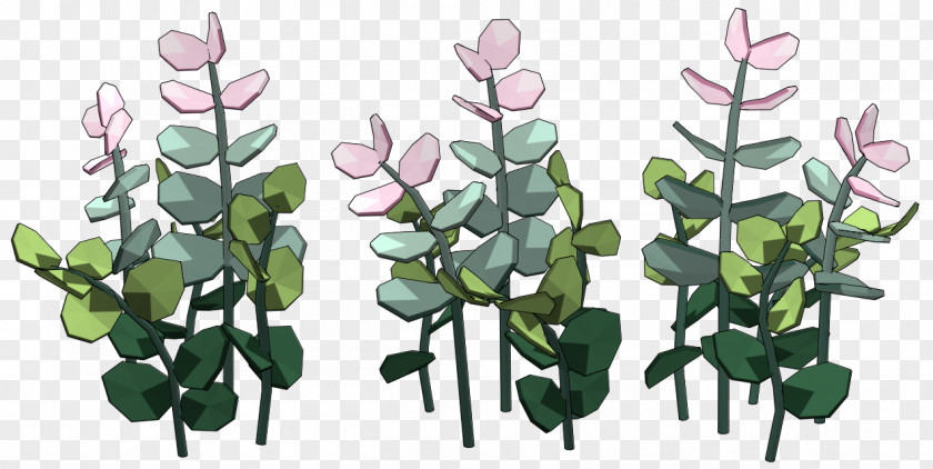 Dwarf Plant Cactaceae Clip Art PNG