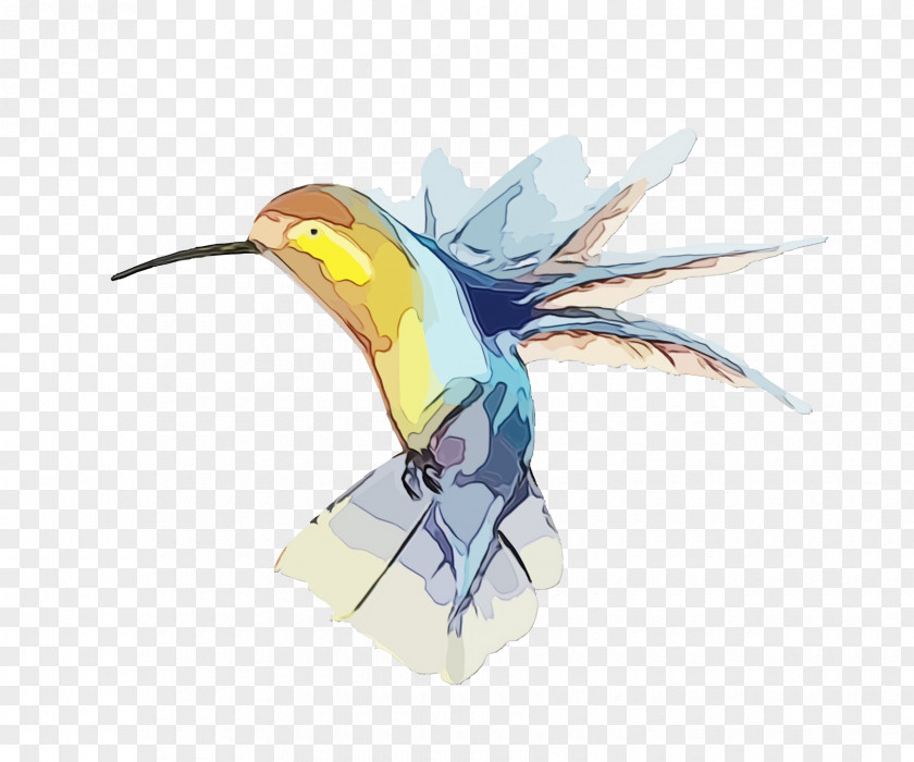 Feather PNG