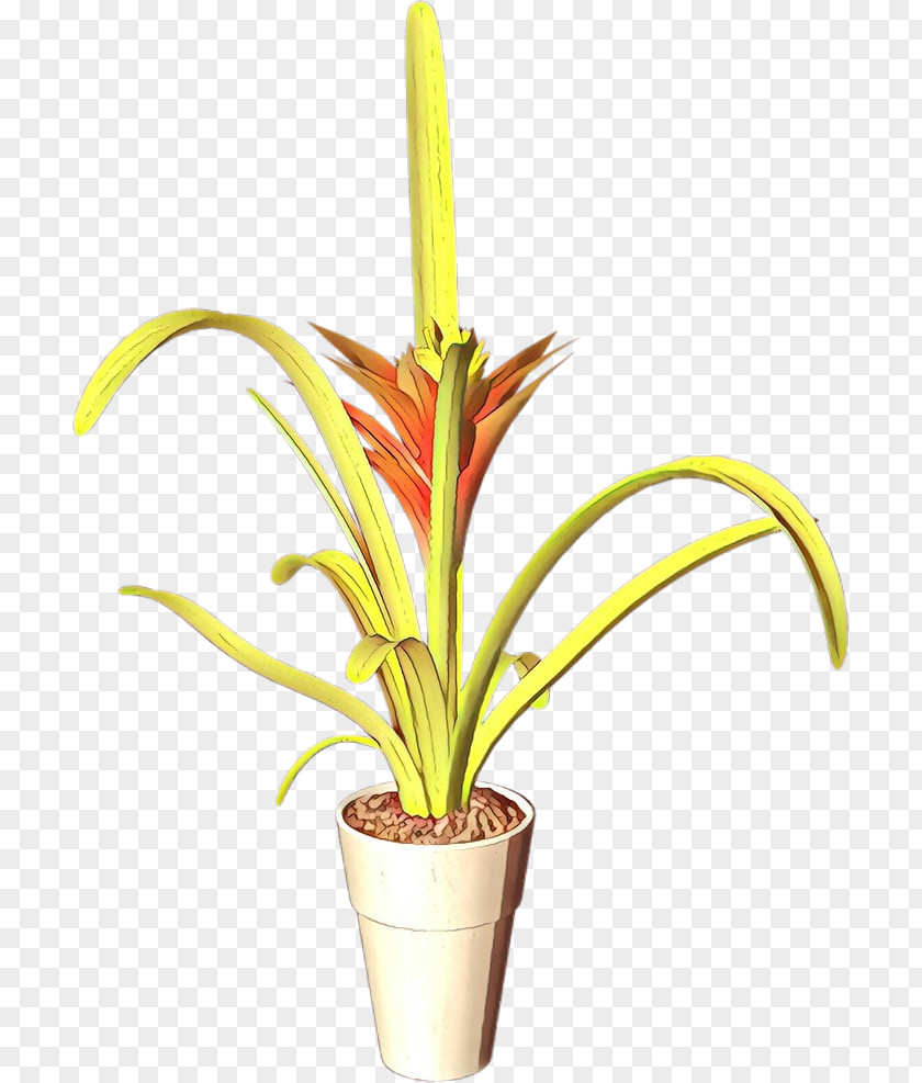 Flower Flowerpot Houseplant Plant Terrestrial PNG