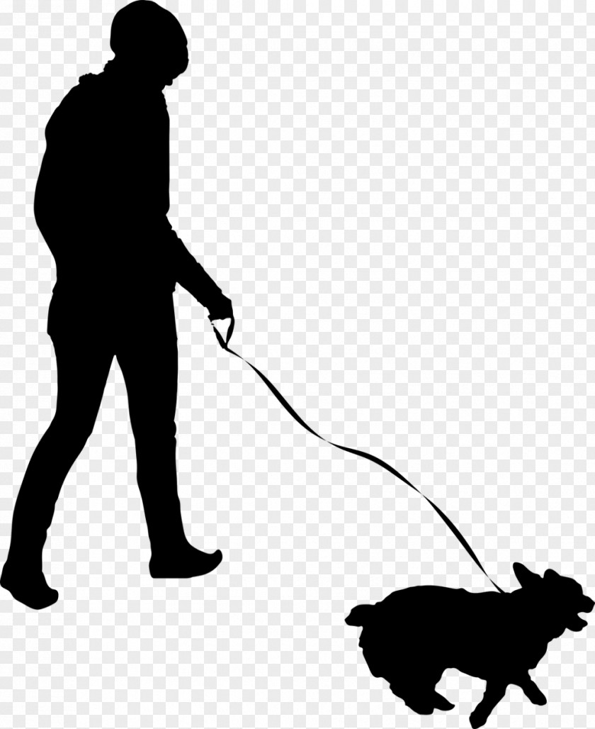 Gardener Obedience Training Dog And Cat PNG