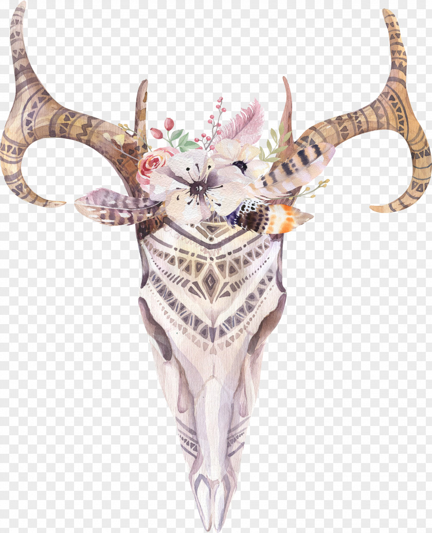 Indian Tribes Sheepshead Flowers Hand Drawing Cattle Boho-chic Skull Watercolor Painting Photography PNG